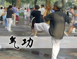 Formation Qi Gong Toulouse