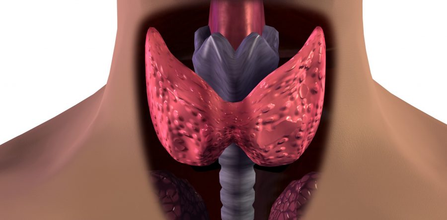 Les pathologies de la thyroïde